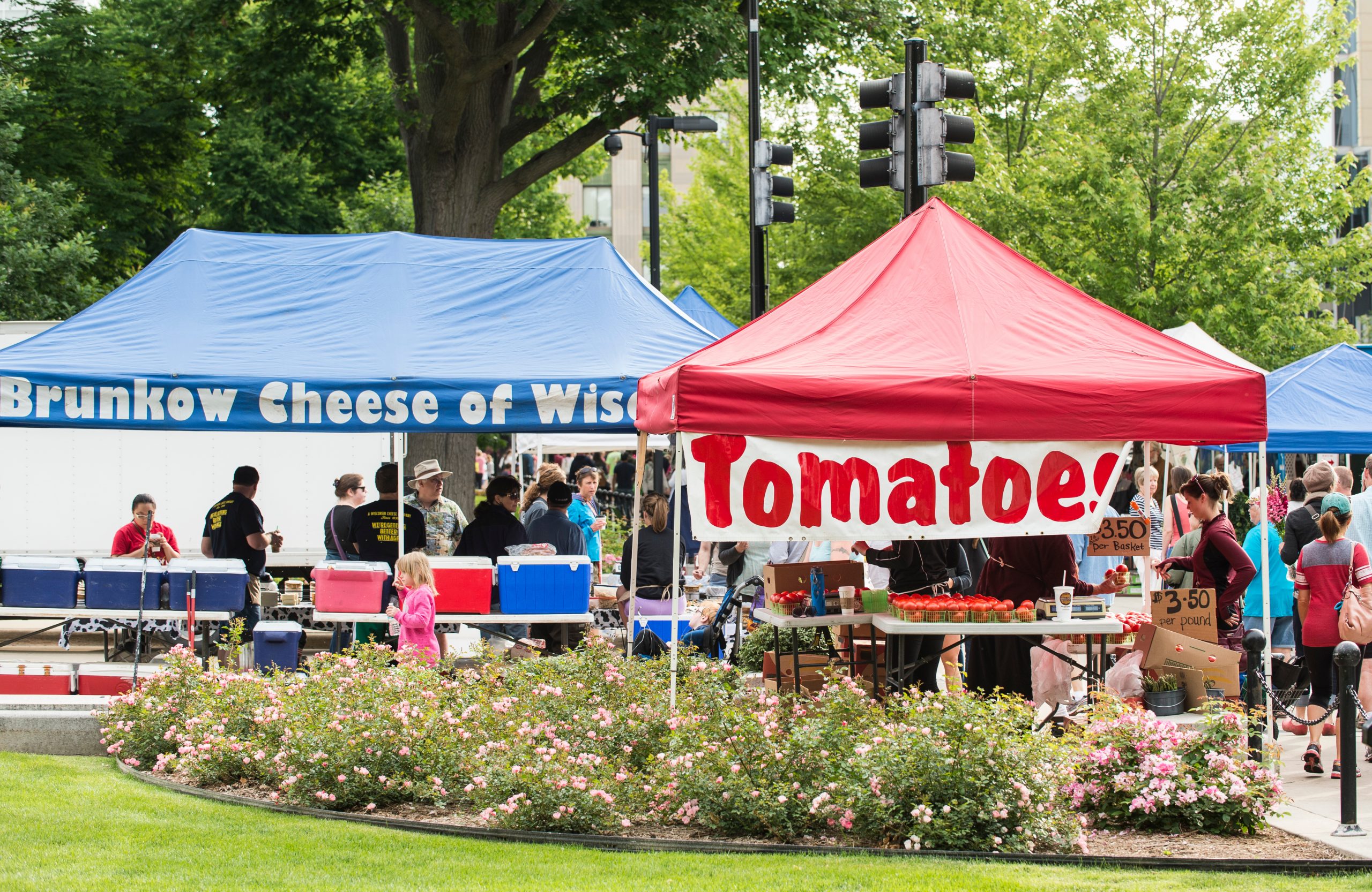 Photo of a few stands at the Dane County Farmer's Market